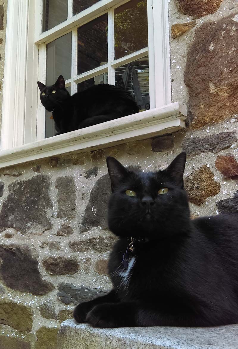 Edgar and Pluto at the Poe Museum